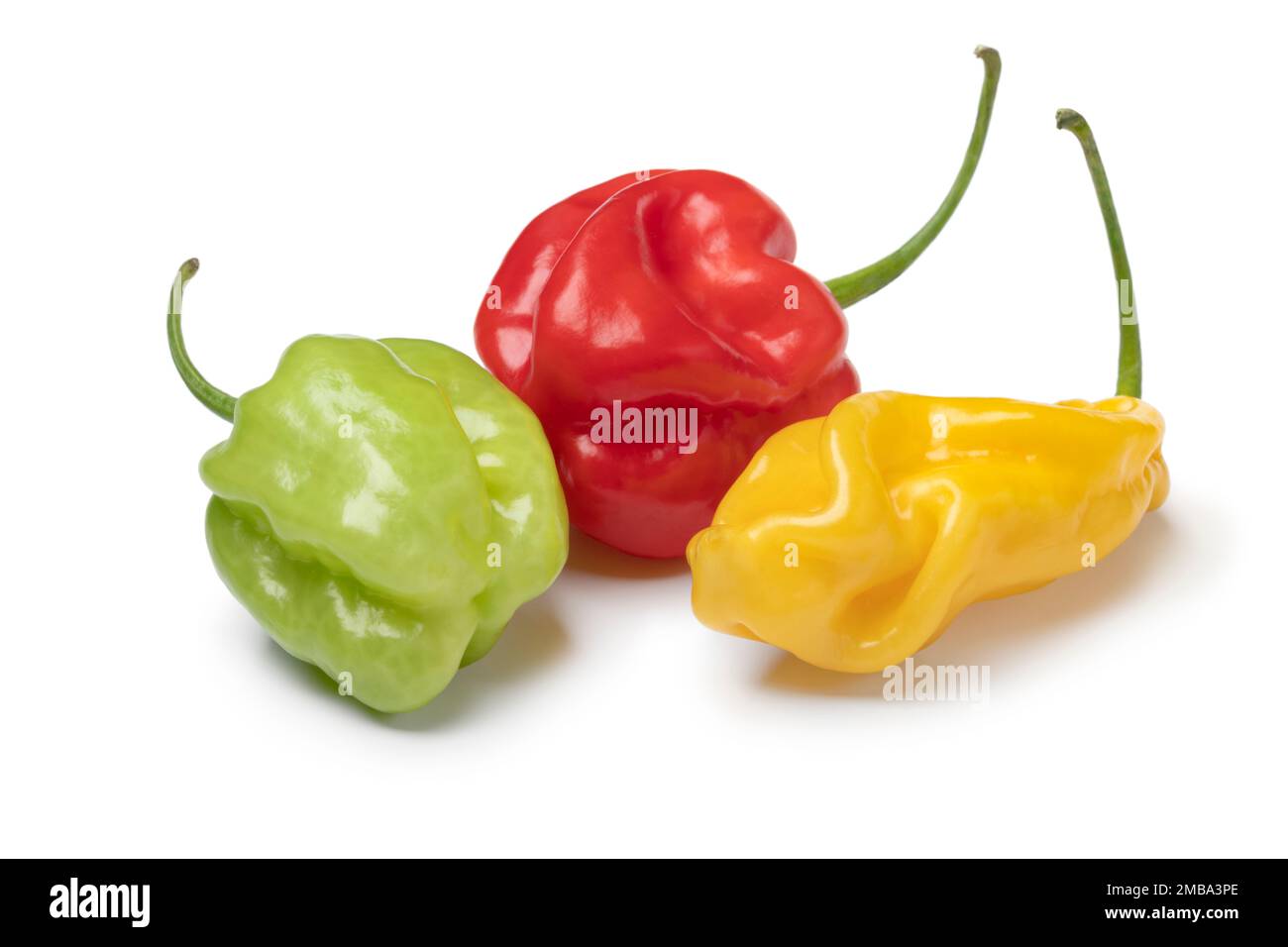 Groupe de piments rouges, verts et jaunes de scorpion frais isolés sur fond blanc Banque D'Images