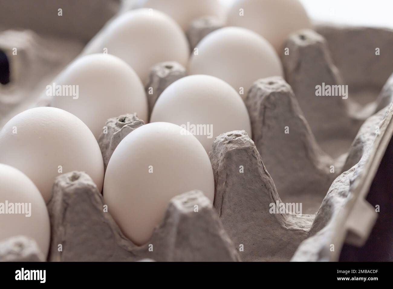 Carton d'œufs de poulet blanc. Banque D'Images