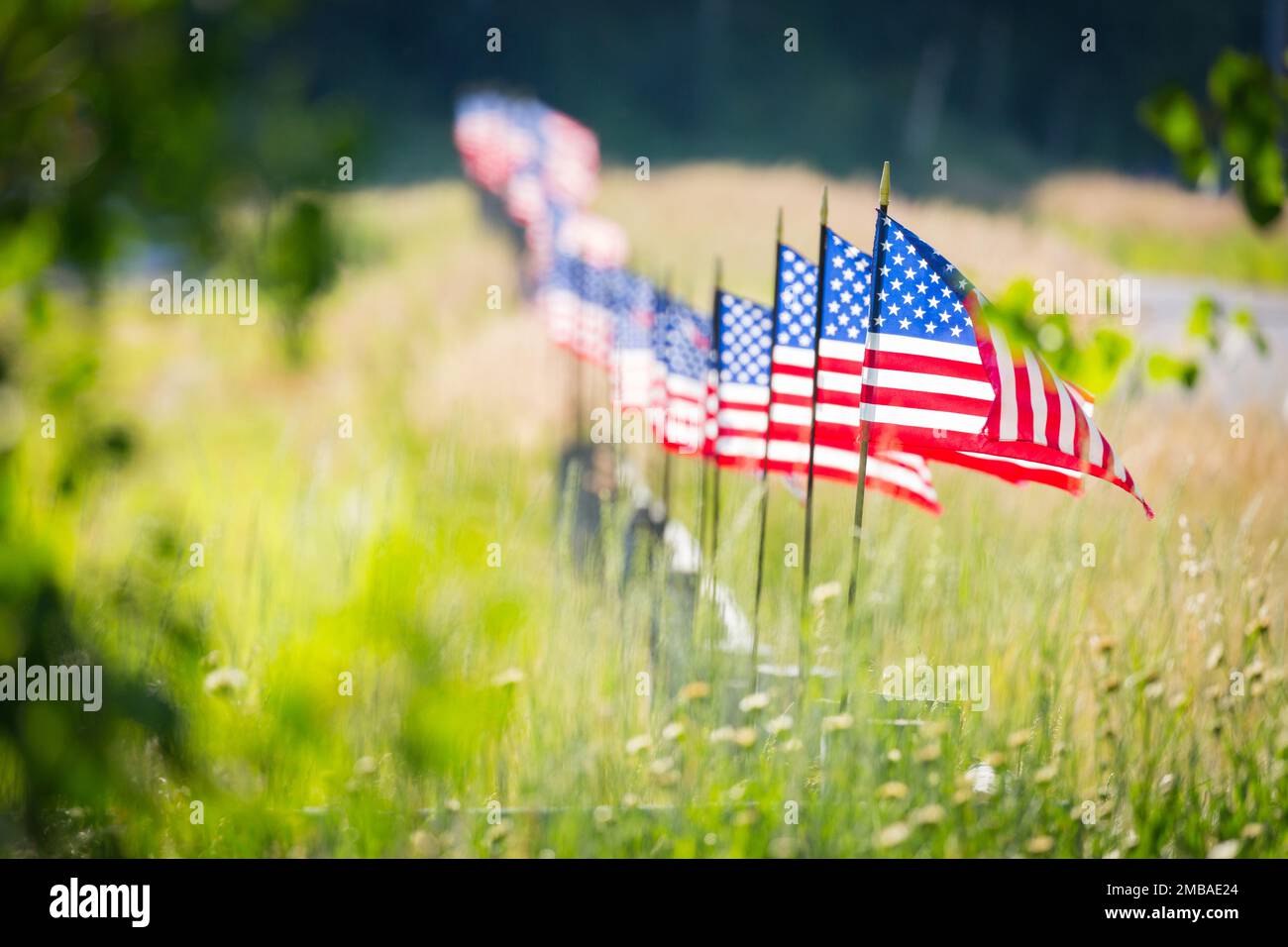 Rangée de drapeaux américains agitant dans le vent le long D'Une clôture. Banque D'Images