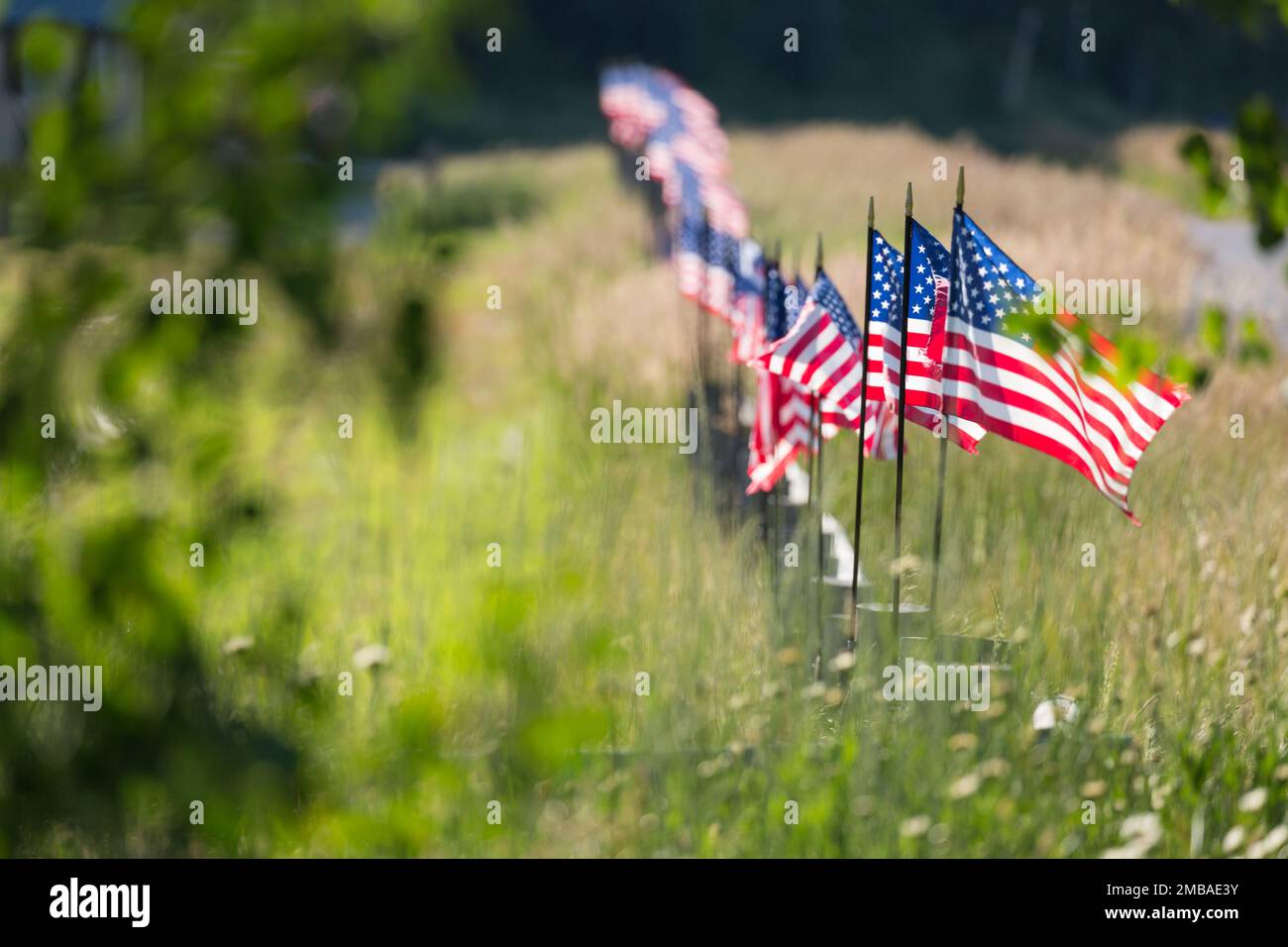 Rangée de drapeaux américains agitant dans le vent le long D'Une clôture. Banque D'Images