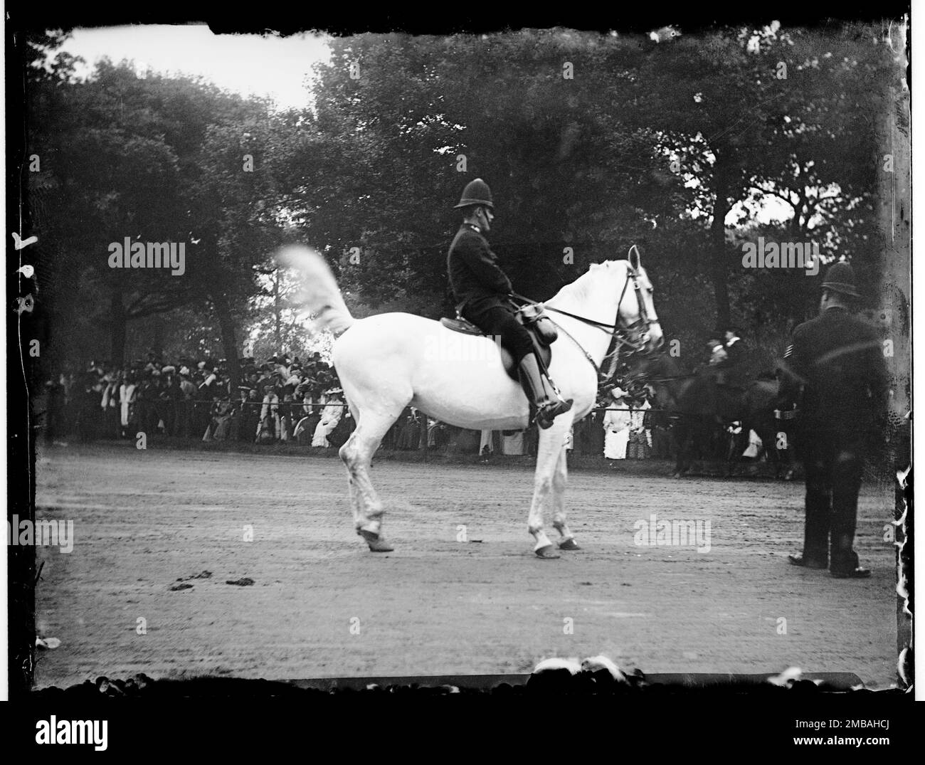 Hyde Park, Cité de Westminster, Autorité du Grand Londres, 1906. Un policier monté sur un cheval blanc lors d'une réunion du club des quatre mains à Hyde Park. Le club 4-in-Hand est un club d'entraînement fondé en 1856 qui s'est réuni deux fois par an à Hyde Park pour la conduite en calèche. Banque D'Images Hyde Park, Cité de Westminster, Autorité du Grand Londres, 1906. Un policier monté sur un cheval blanc lors d'une réunion du club des quatre mains à Hyde Park. Le club 4-in-Hand est un club d'entraînement fondé en 1856 qui s'est réuni deux fois par an à Hyde Park pour la conduite en calèche. Banque D'Images