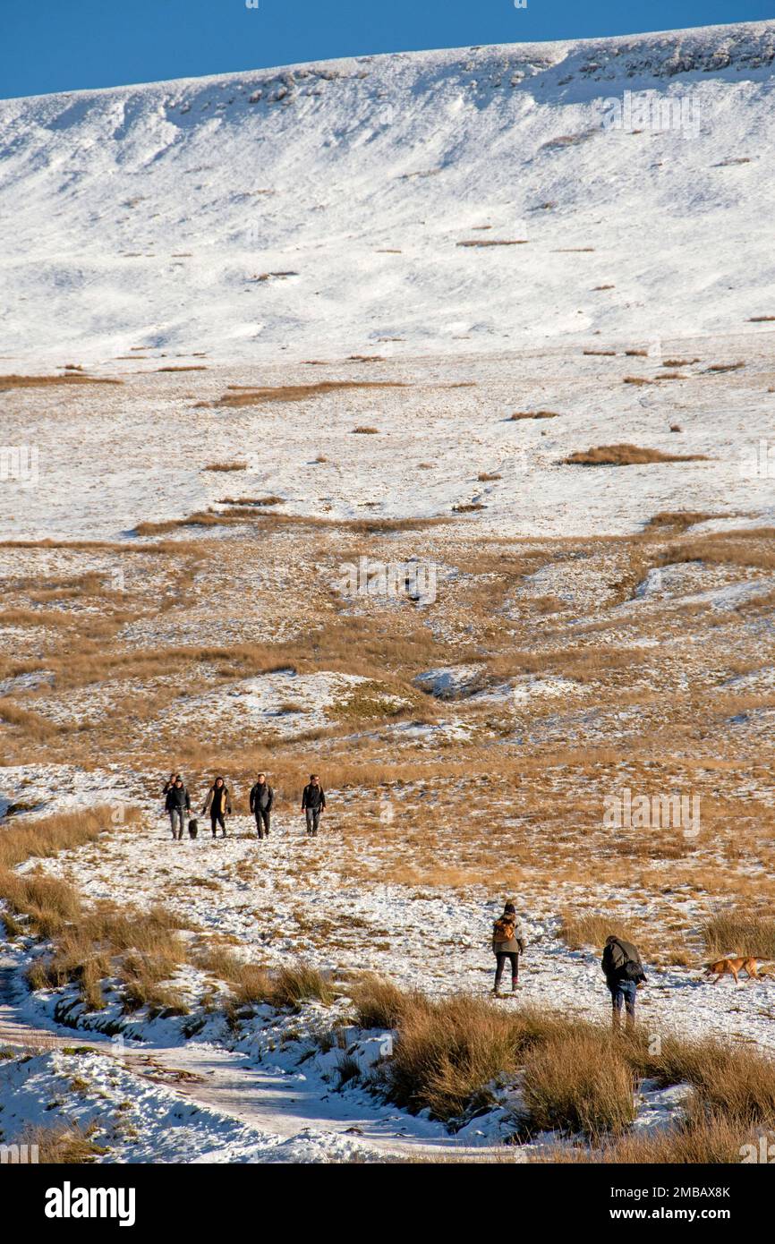 Brecon, Royaume-Uni. 20th janvier 2023. Les gens marchent sur la route de Pen y Fan dans le parc national de Brecon Beacons cet après-midi lors d'une journée hivernale ensoleillée alors que le temps de gel continue dans certaines parties du pays de Galles et du Royaume-Uni. Credit: Phil Rees/Alamy Live News Banque D'Images