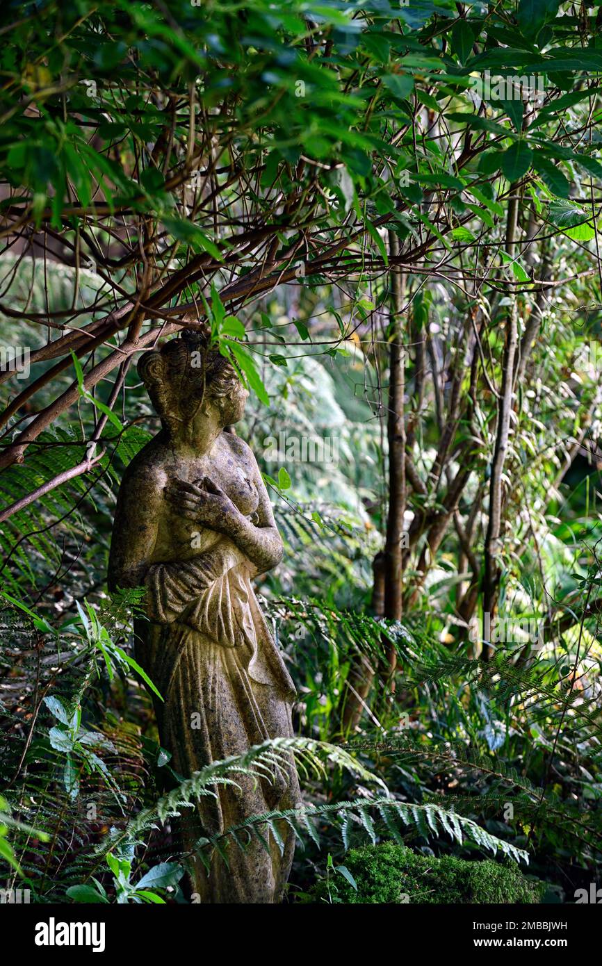Statue d'une femme dans un jardin, jardin, jardin boisé, ombre, ombragé, ombragé, jardin, statue de femme, figurine de femme, roman, romantique, RM Floral Banque D'Images