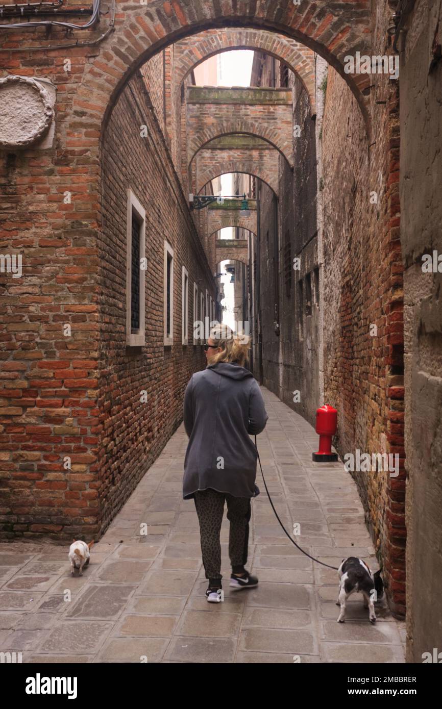 Femme locale marchant avec des chiens sur une arcade étroite à la matinée brumeuse à Venise, Italie Banque D'Images