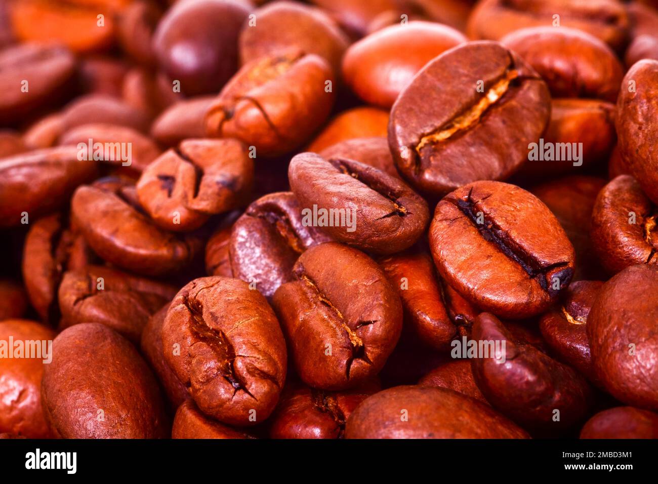 Gros plan sur les grains de café espresso Banque D'Images