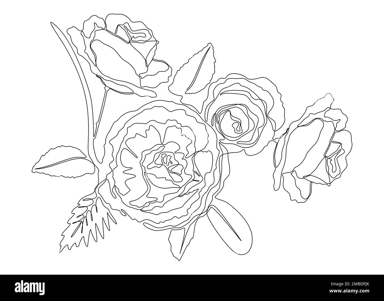 Une ligne continue de rose. Concept de vecteur d'illustration à trait fin. Dessin de contour idées créatives. Illustration de Vecteur