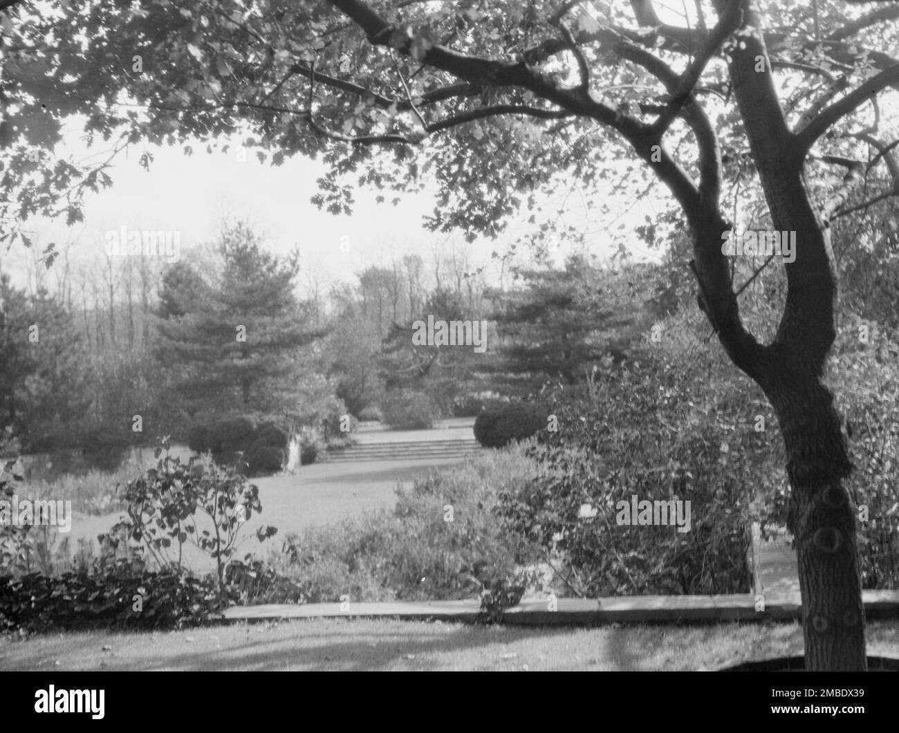 Taylor, Myron C., M., résidence et terrain, Locust Valley, Long Island, New York, 1928 nov Banque D'Images