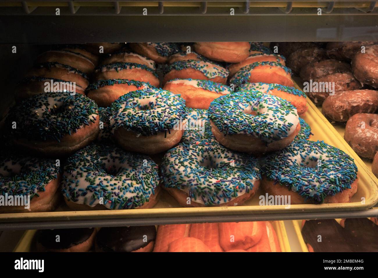 Fresh Donuts on the Bakery Counter, Ann Arbor MI, États-Unis Banque D'Images