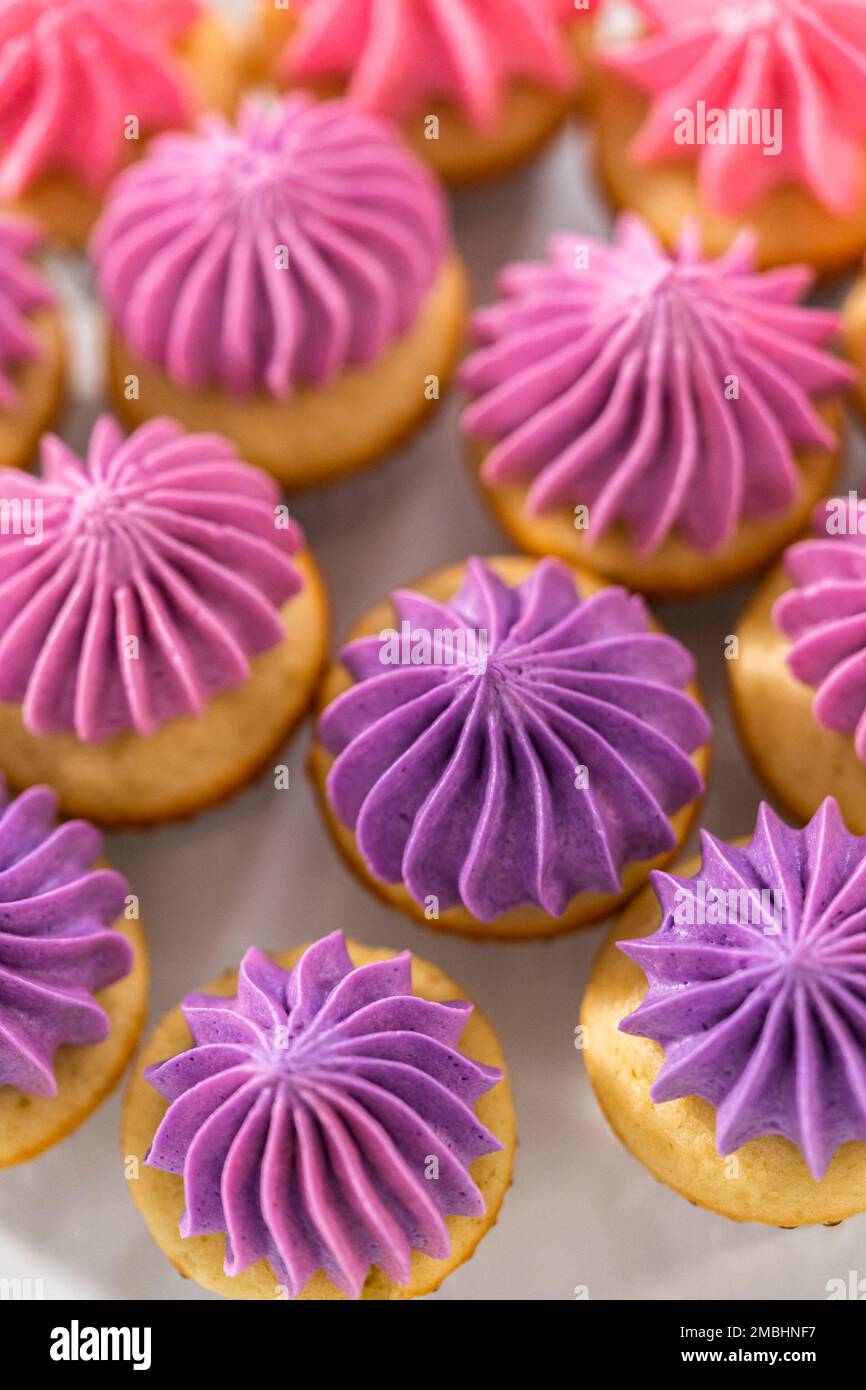 Mini-cupcakes à la vanille avec glaçage à la crème Buttercream rose Banque D'Images