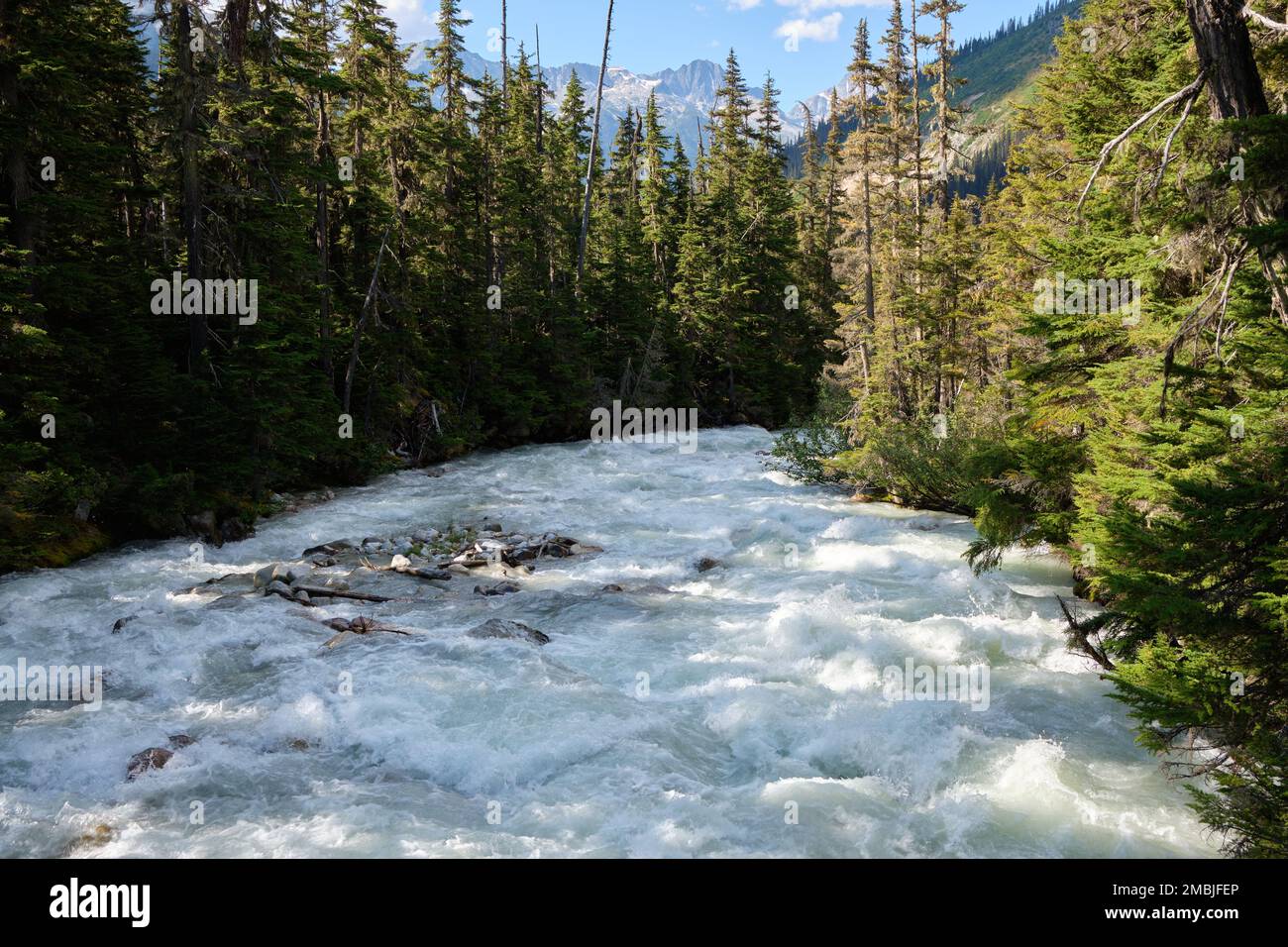 La fonte des neiges de l'après-midi fait gonfler la rivière Illecillewaet et se précipiter dans la forêt de conifères dans les montagnes du parc national Glacier, C.-B., Canada Banque D'Images