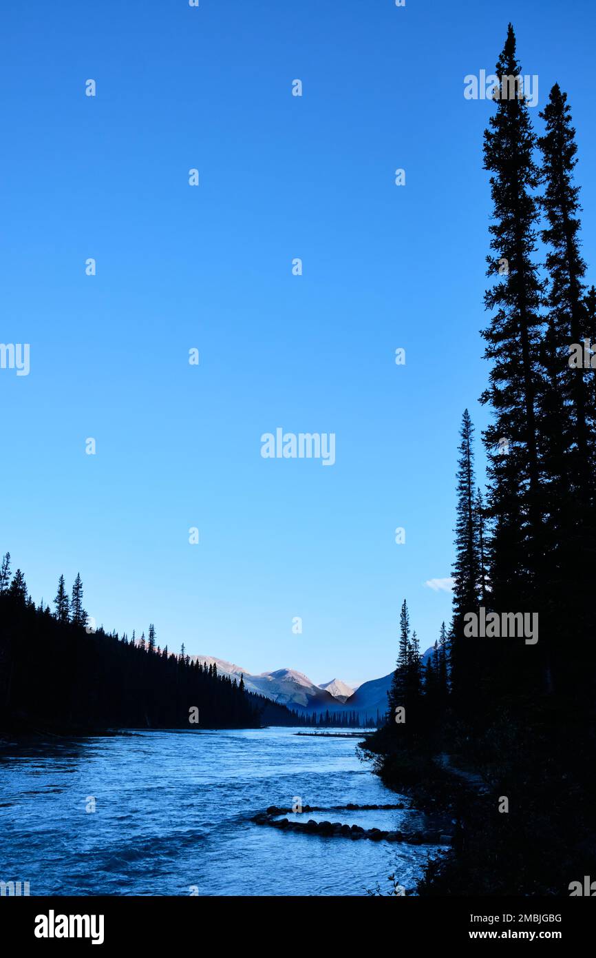 Beaux moments bleus avant le lever du soleil, à côté de la rivière Saskatchewan Nord, à côté du terrain de camping Rampart Creek, Icefields Parkway, Canada Banque D'Images