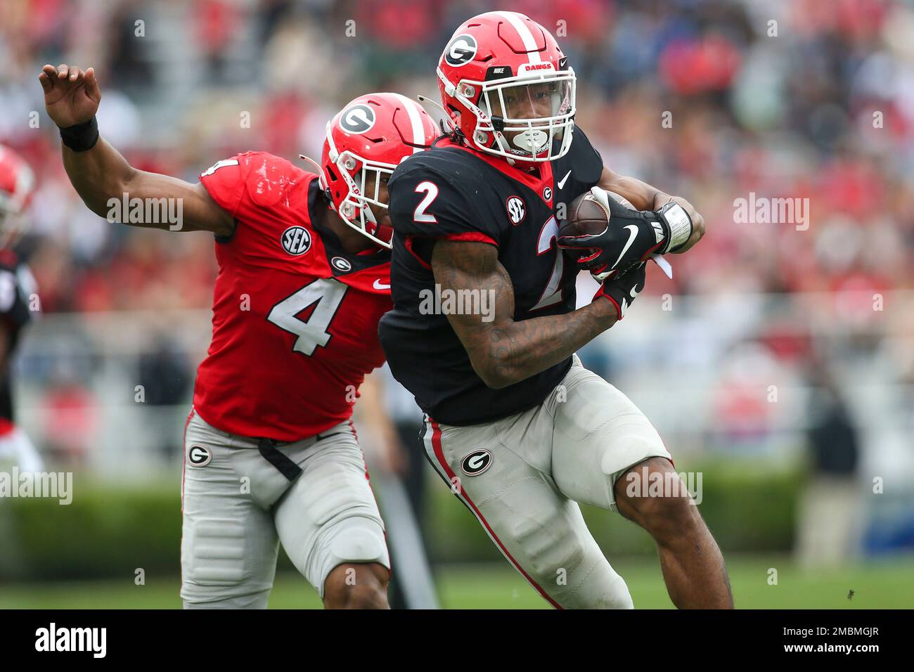 Georgia running back Kendall Milton (2) makes a catch past outside linebacker Nolan Smith (4) in the first half of Georgia's spring NCAA college football game, Saturday, April 16, 2022, in Athens, Ga. (AP Photo/Brett Davis) Banque D'Images