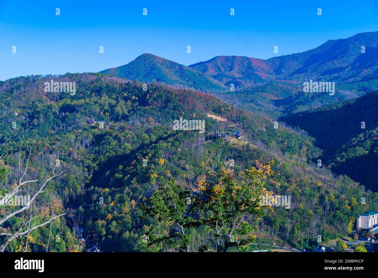 Great Smoky Mountains en automne Banque D'Images
