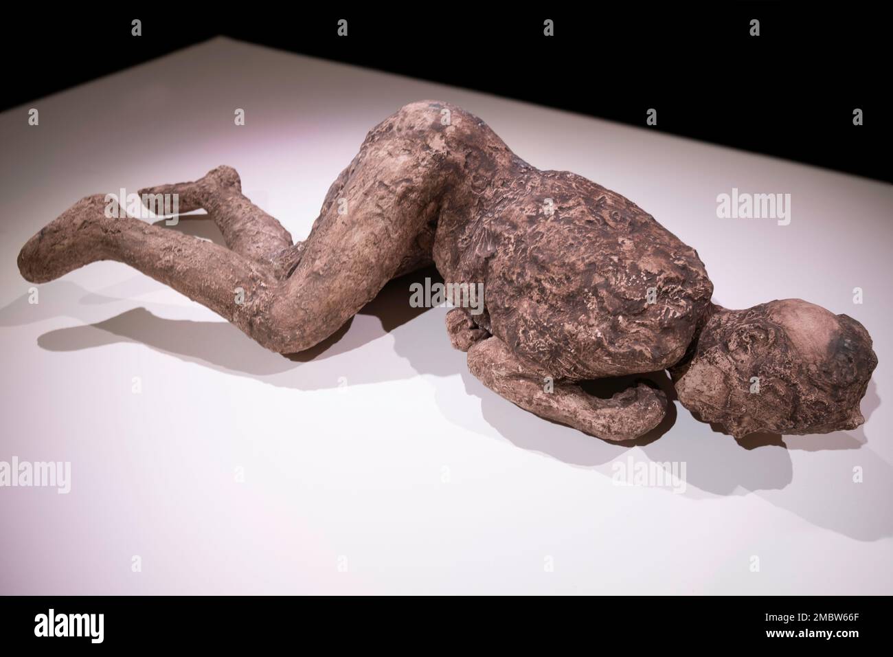 Plâtre moulé d'un corps, trouvé dans l'ancienne ville de Pompéi, exposé sur une table blanche au Musée des Drents d'Assen, aux pays-Bas Banque D'Images