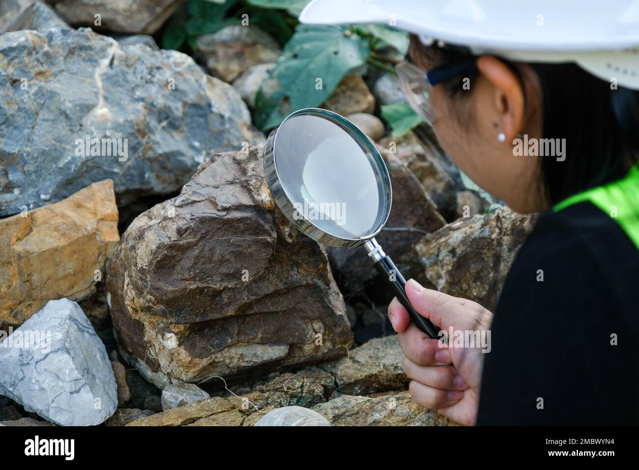 Une géologue féminine utilisant une loupe examine la nature, analysant des roches ou des cailloux. Les chercheurs recueillent des échantillons de matériel biologique. Environnement Banque D'Images