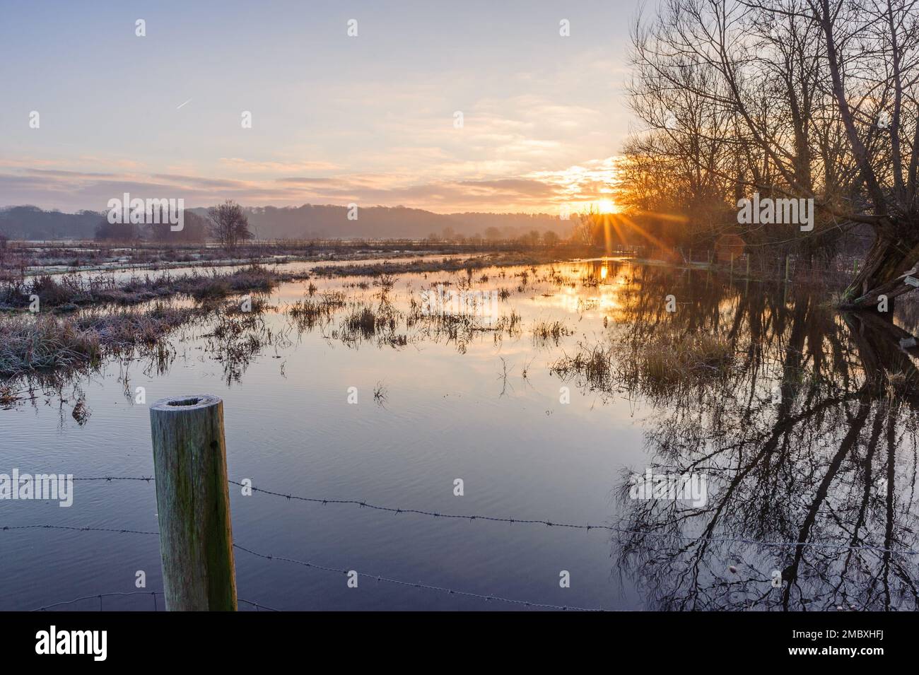 Burgate, Fordingbridge, Hampshire, Angleterre, RoyaumeUni, 21st
