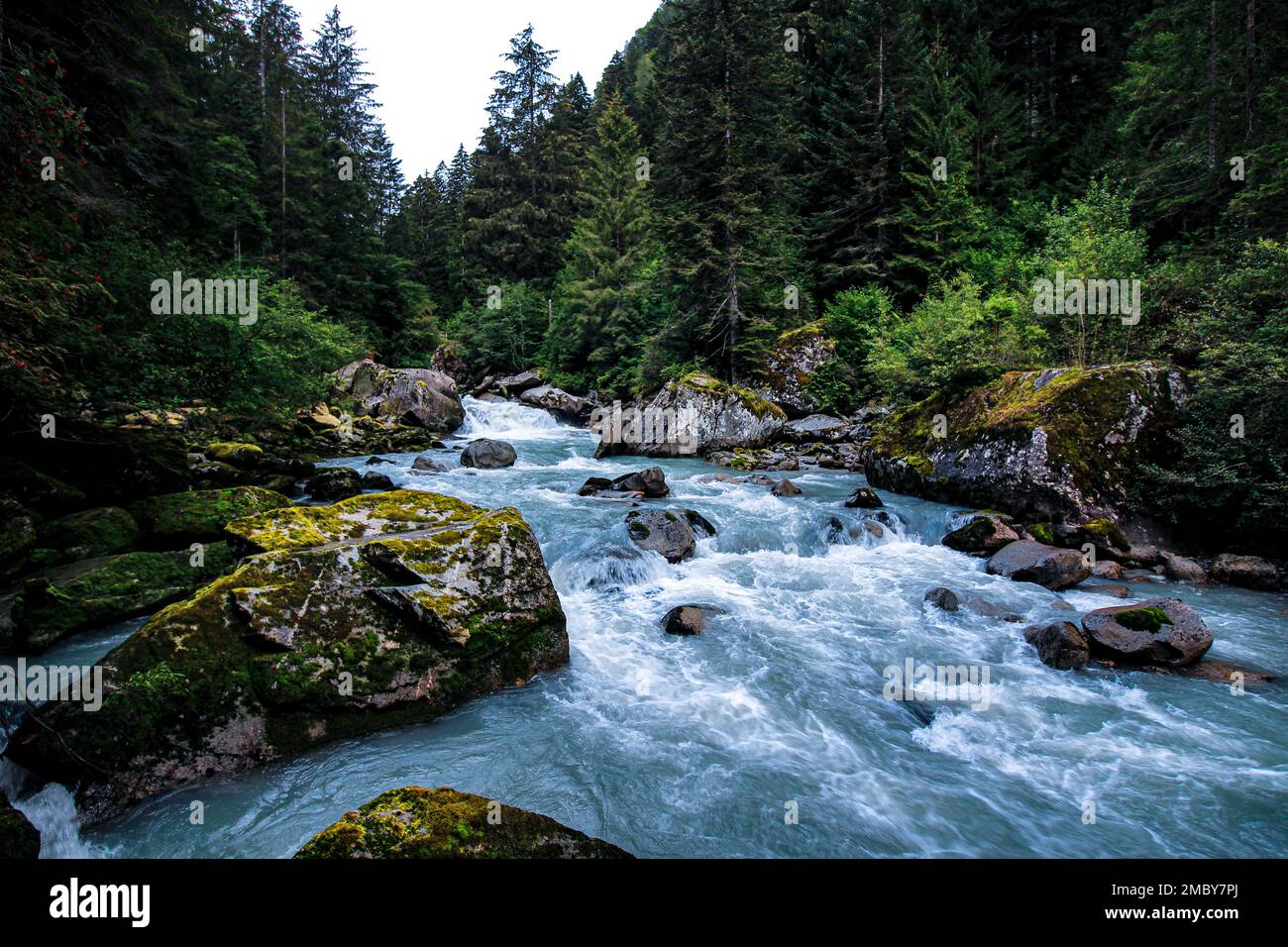 Ruisseau d'Adamello Brenta Parc naturel dans le Trentin-Haut-Adige. Banque D'Images