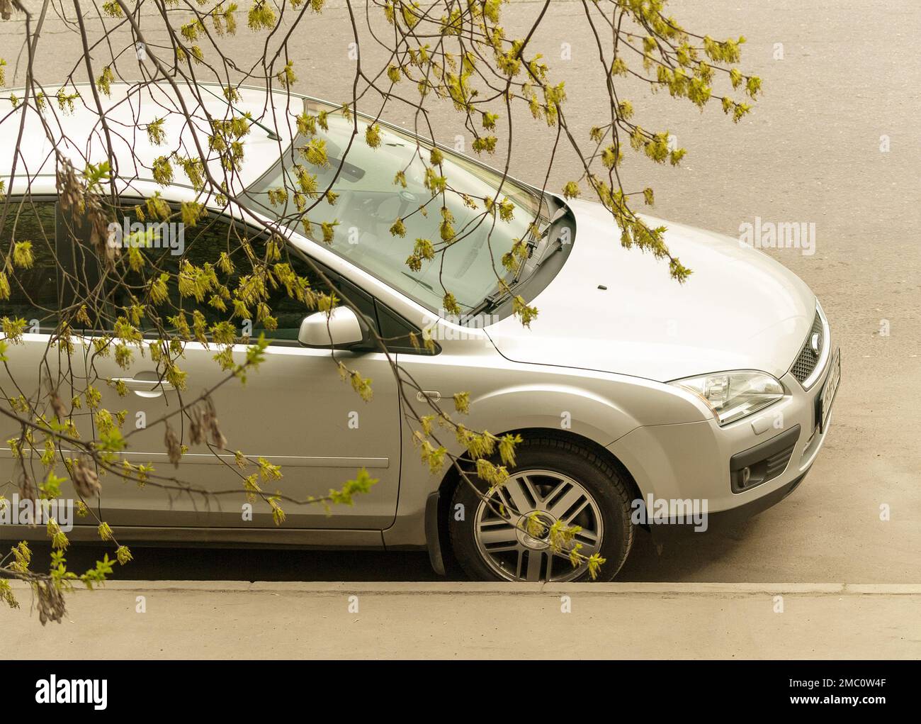 2010 Ford Focus-2 voiture neuve garée sur le trottoir de la rue de la ville sous les branches d'arbres Banque D'Images