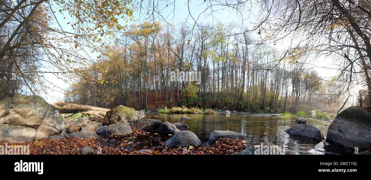 Rive de la rivière Warnow dans le nord de l'Allemagne avec de grands blocs erratiques Banque D'Images