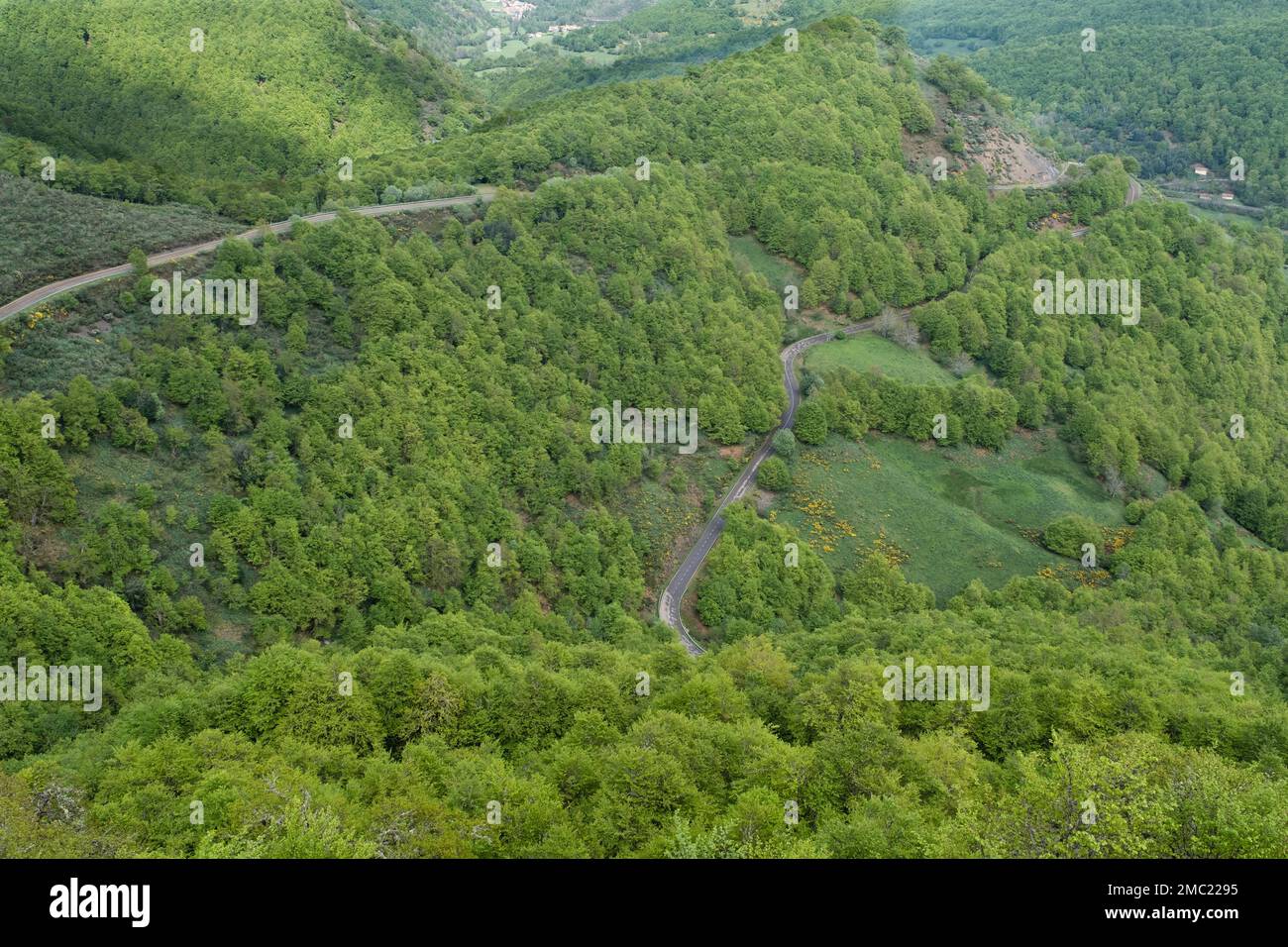 Route de montagne sinueuse parmi les forêts vertes dans la province de Leon, Espagne Banque D'Images
