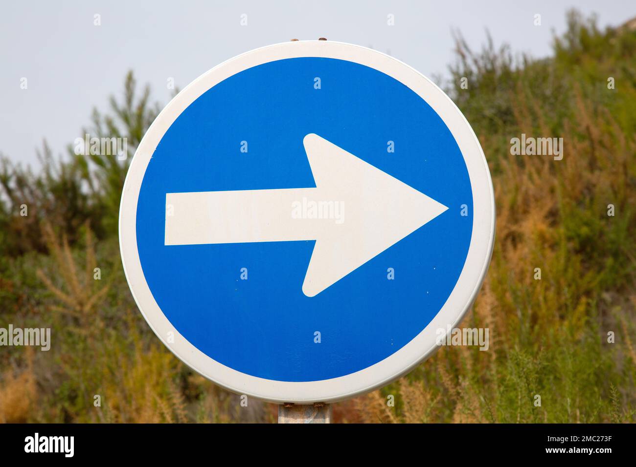 Panneau de signalisation One Way Traffic dans nature Banque D'Images