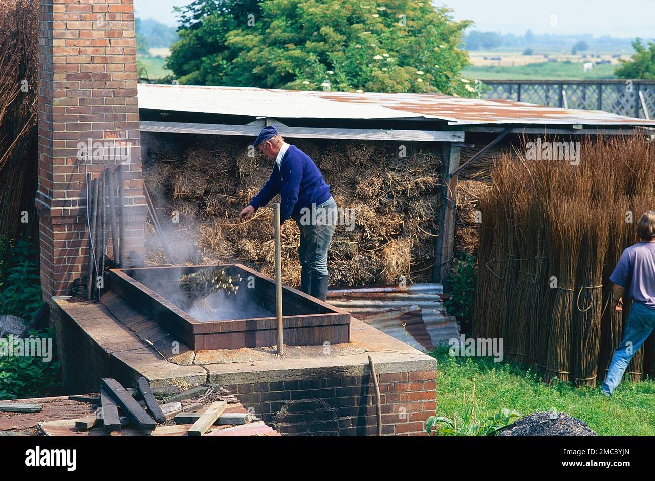 Withie bouillant dans l'industrie de la culture du saule pour la fabrication de paniers, à Gadsby and son, Somerset, Royaume-Uni Banque D'Images