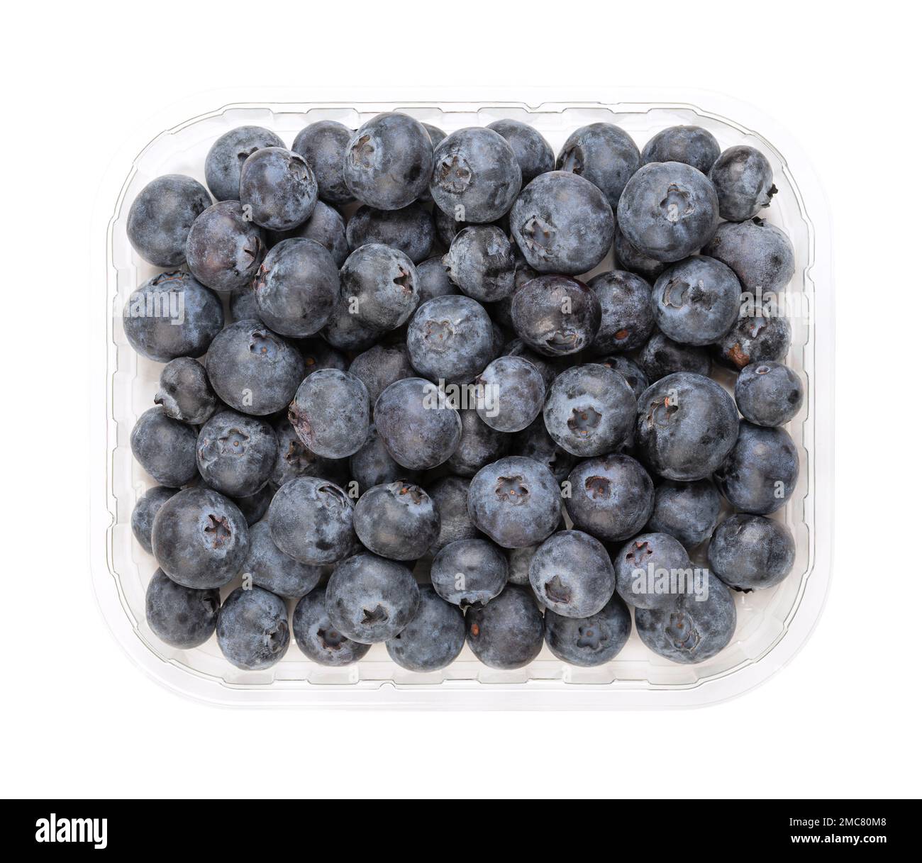 Bleuets frais entiers, dans un punnet en plastique transparent, du dessus. Fruits crus de Vaccinium corymbosum, mûrs, de couleur bleu foncé. Banque D'Images