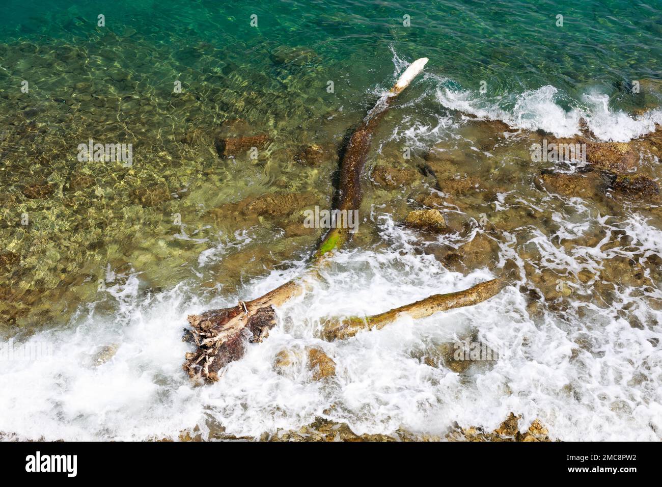 Branche d'arbre mort dans l'eau. Lagon Banque D'Images
