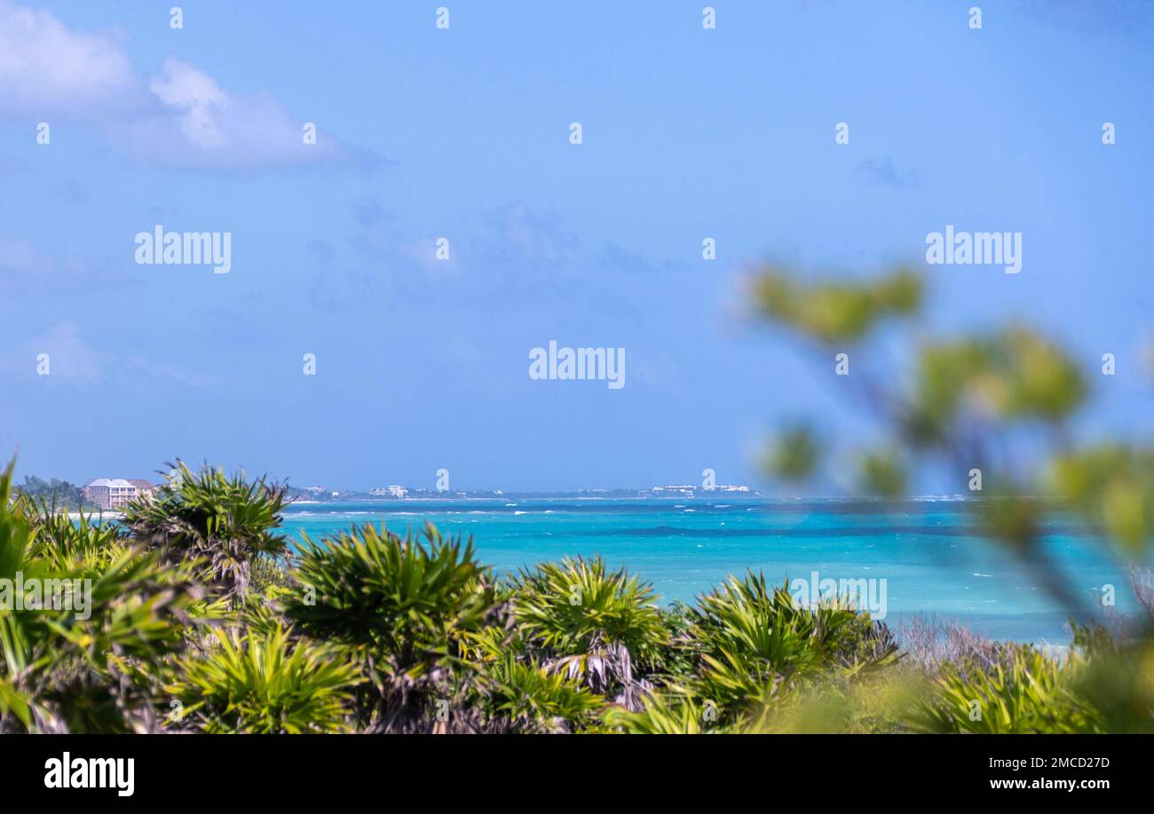 Plage, ciel bleu, terre verte et arbres Banque D'Images