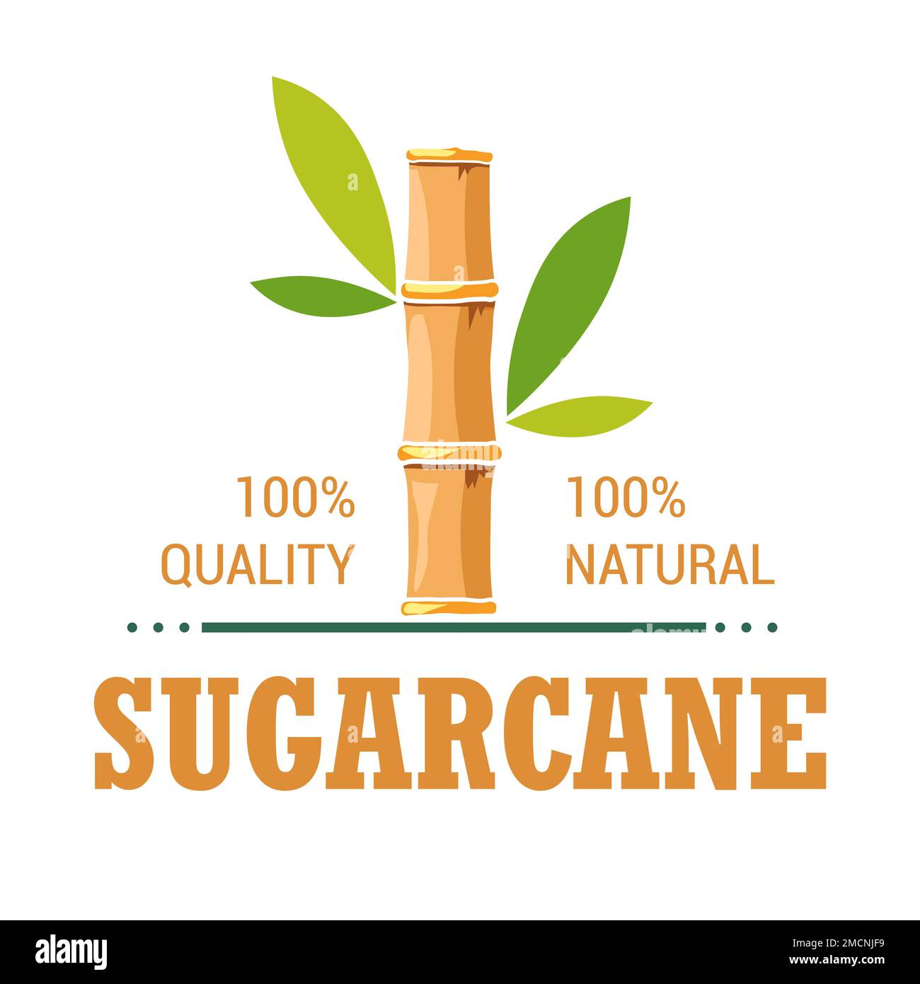 Produit naturel biologique canne à sucre isolé plantation d'icônes Illustration de Vecteur