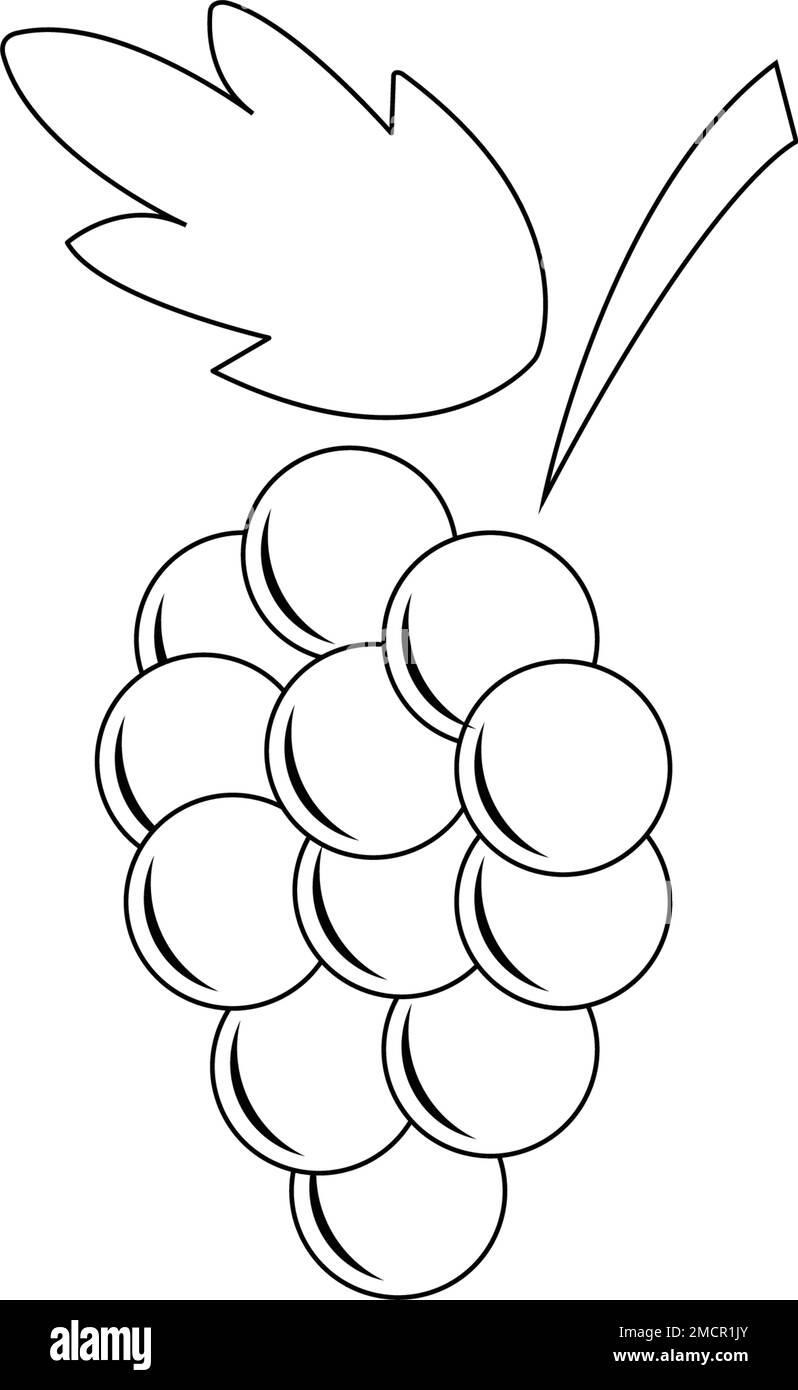 logo grape icon illustration Illustration de Vecteur