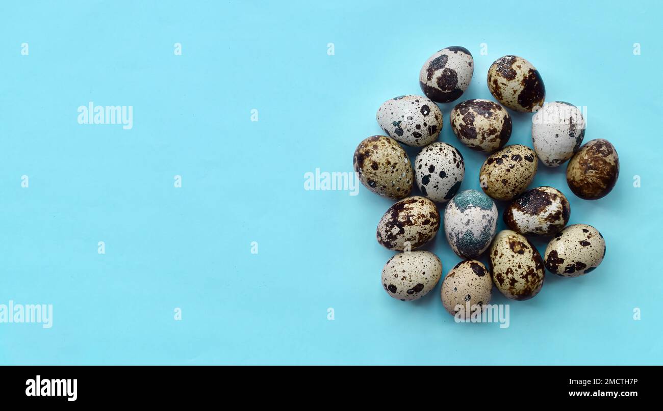 Vue de dessus des œufs de caille crus avec espace de texte. Aliments riches en protéines. Banque D'Images