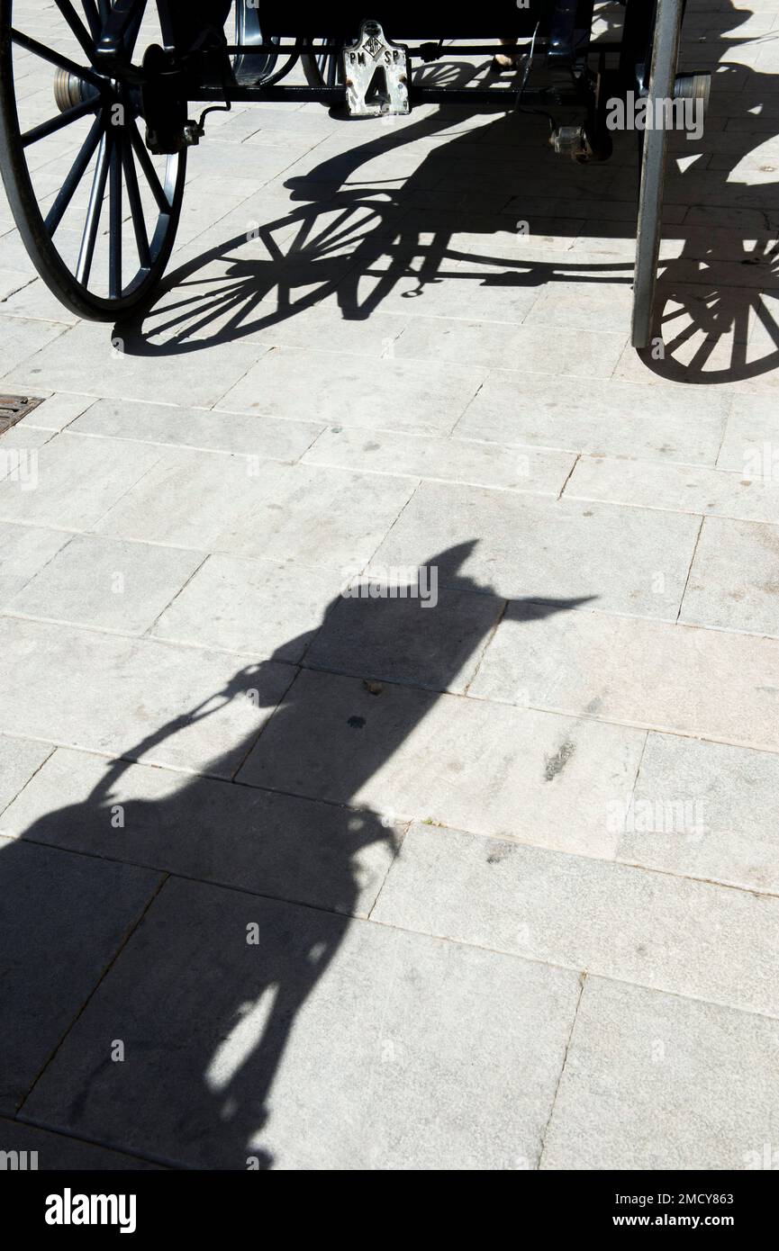 Ombre d'un cheval devant une calèche à la cathédrale de Palma de Majorque. Banque D'Images