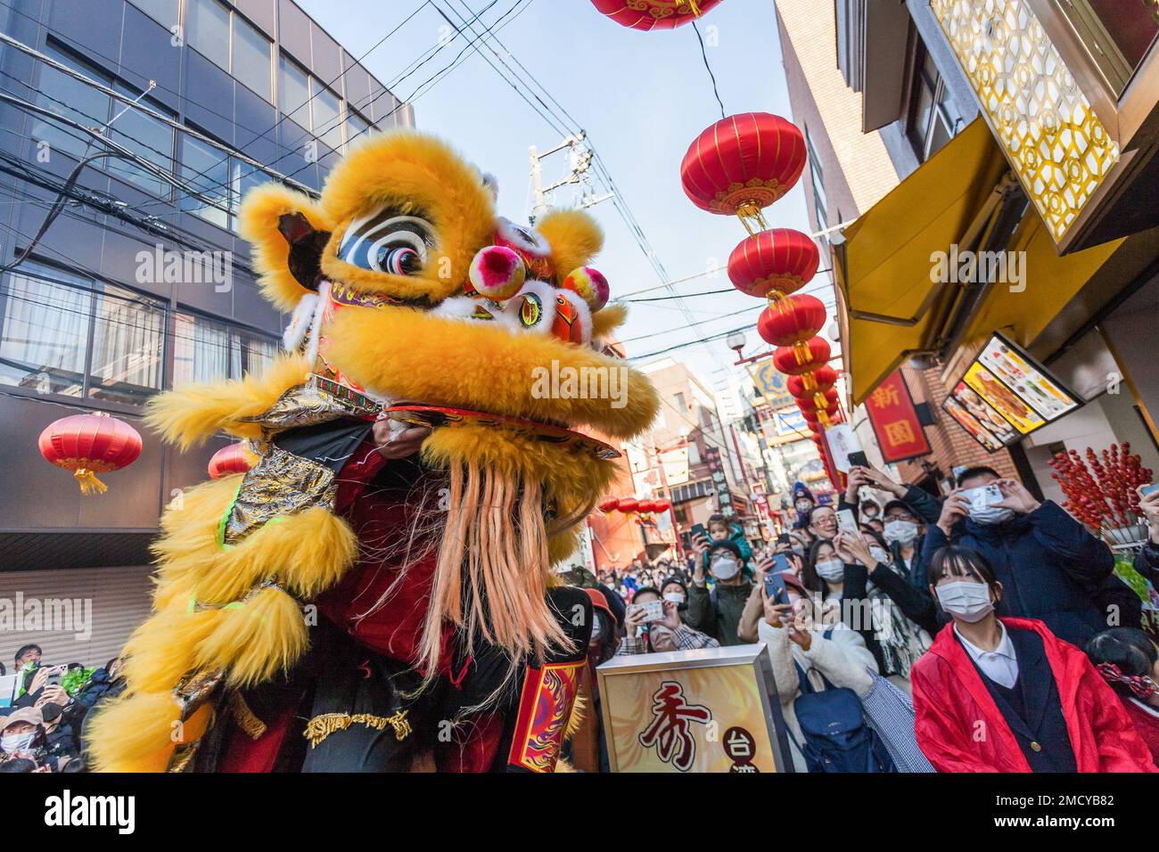 C?i Q?ng Lion Dance fait partie du Festival du printemps chinois Yokohama China Town, Kanagawa. Les événements culturels chinois traditionnels marquant la nouvelle année lunaire se dérouleront dans la ville chinoise de Yokohama, de 22 janvier à 5 février 2023. (Photo de Damon Coulter / SOPA Images / Sipa USA) Banque D'Images