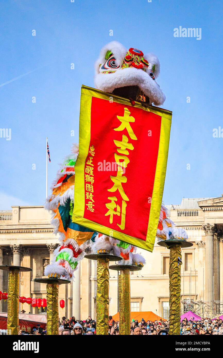 Londres, Royaume-Uni. 22nd janvier 2023. La danse du lion est interprétée par les frères Chen à une grande foule sur Trafalgar Square. Les artistes participent au festival chinois du printemps du nouvel an en déguisements colorés à la foule sur Trafalgar Square. Le festival dynamique retourne dans les rues de Soho et Chinatown pour la première fois depuis 2019 dans sa pleine taille, et est la plus grande célébration du nouvel an lunaire chinois hors de Chine. 2023 est l'année du lapin. Credit: Imagetraceur/Alamy Live News Banque D'Images