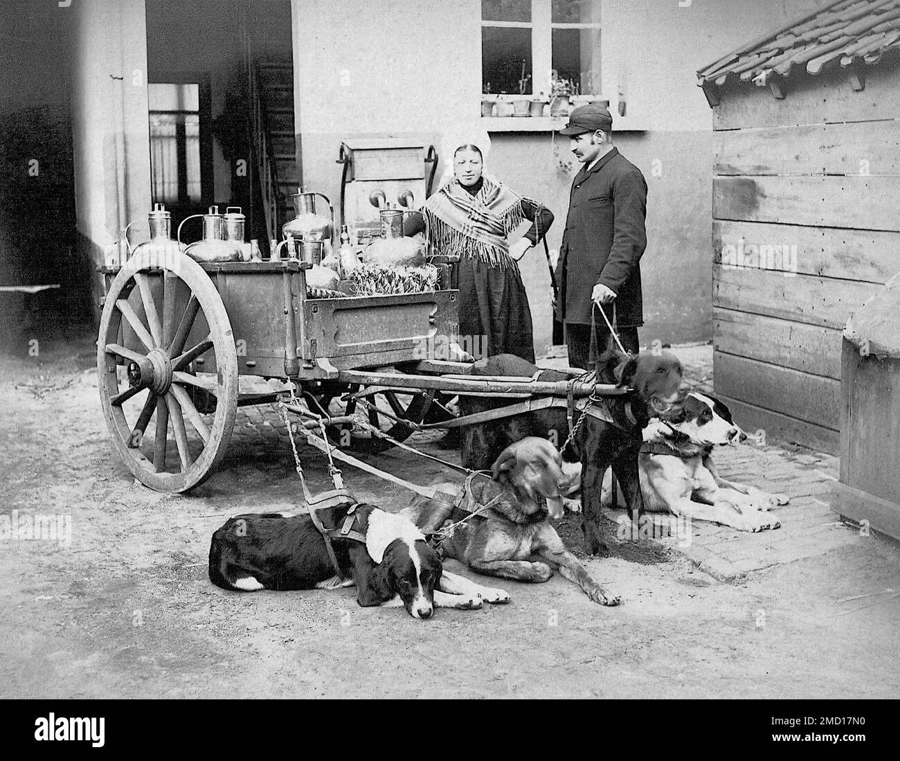 Chariot pour chien flamand de Belgique - c1880 - client gentilhomme avec une femme de chambre flamande. Banque D'Images
