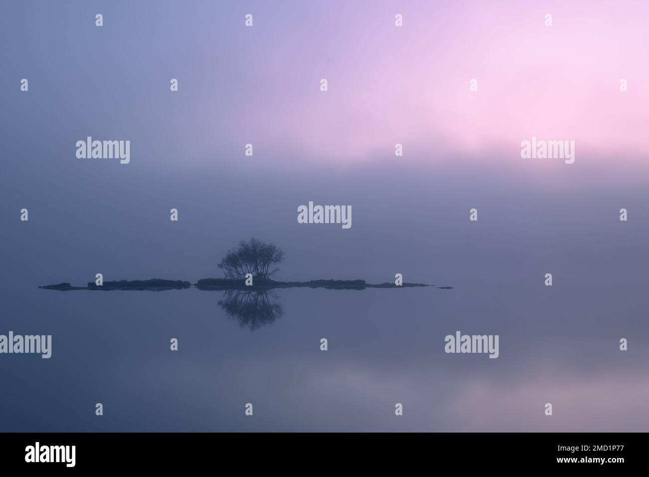 Lone Tree Island, pays de Galles Banque D'Images