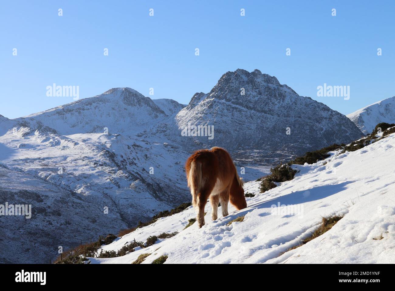 Snowdonia tryfan glyderau carneddau pays de galles hiver Banque D'Images