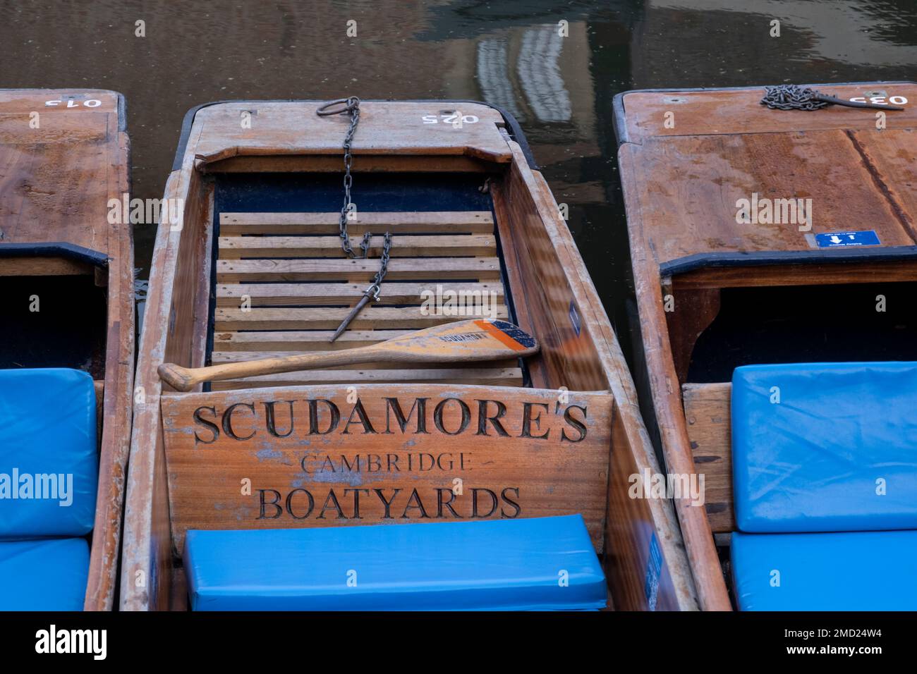 Punts traditionnels sur la rivière Cam, Cambridge, Cambridgeshire, Angleterre, Royaume-Uni Banque D'Images