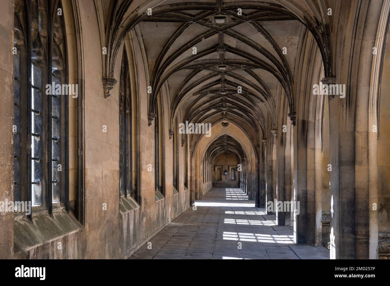 Cloîtres of New court, St Johns College, Cambridge University, Cambridge, Cambridgeshire, Angleterre, Royaume-Uni Banque D'Images