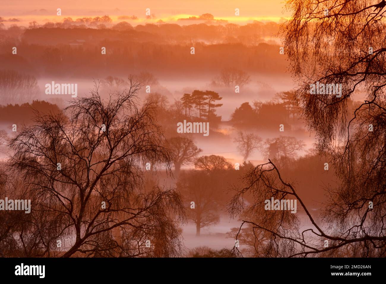 La plaine de Cheshire remplie de brouillard à Sunrise, de Bickerton Hill, Cheshire, Angleterre, Royaume-Uni Banque D'Images