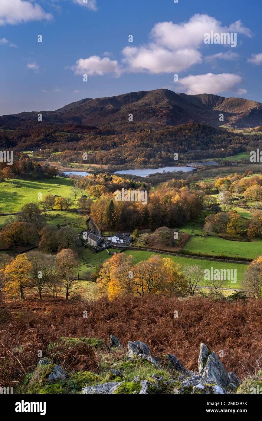 Elter Water, Wetherlam et les Tilberthwaite Fells de Loughrigg sont tombés en automne, Lake District National Park, Cumbria, Angleterre, Royaume-Uni Banque D'Images