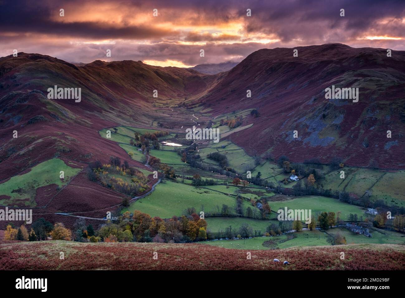La vallée de Boredale, place Fell et Beda Fell en automne, Martindale Common, Lake District National Park, Cumbria, Angleterre, Royaume-Uni Banque D'Images