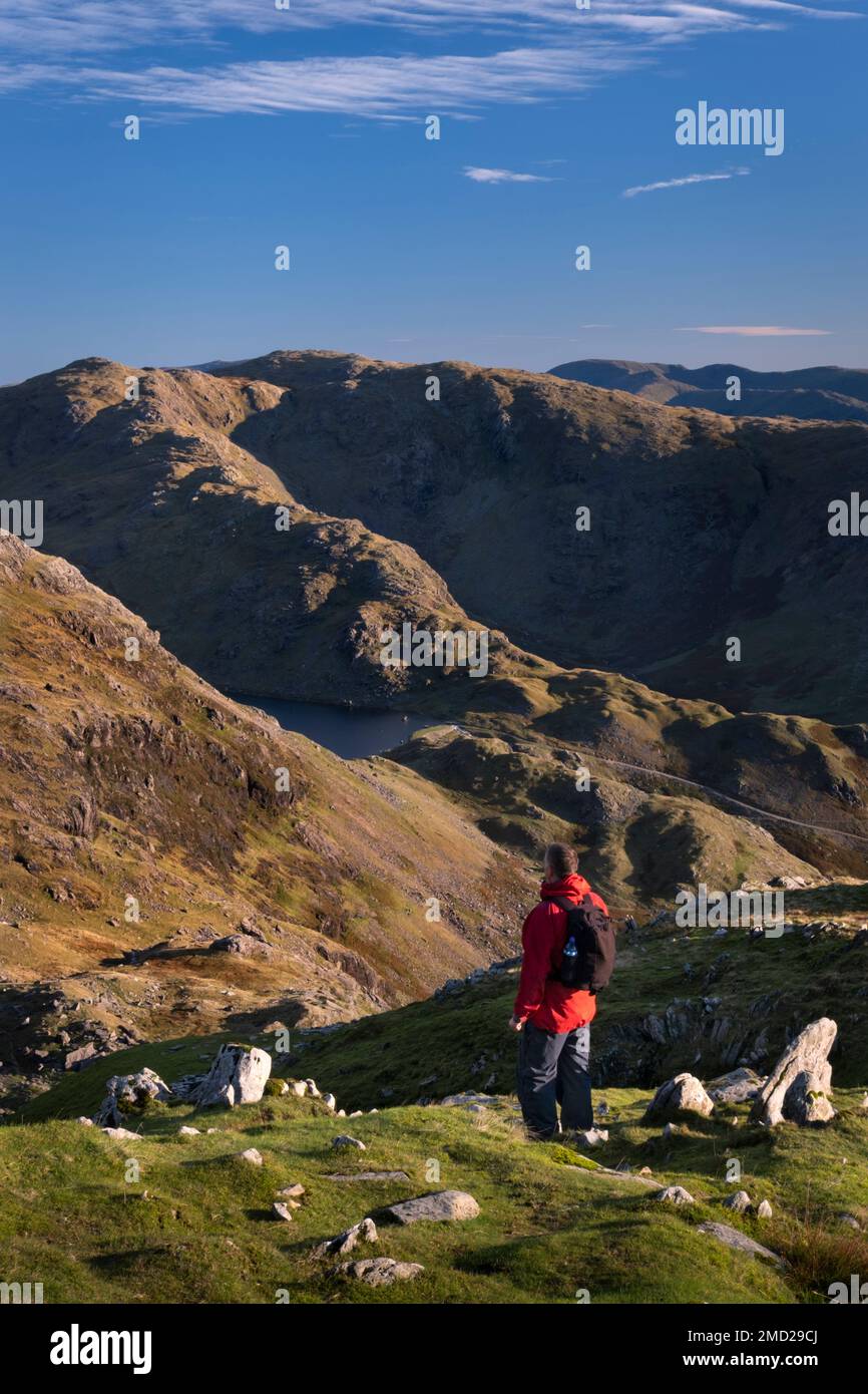 Walker regardant Wetherlam, leviers Water et les Coniston Fells du vieil homme de Coniston, Lake District National Park, Cumbria, Angleterre, Royaume-Uni Banque D'Images