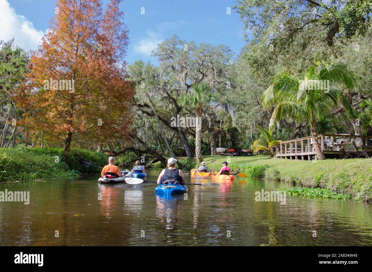 Kayakistes sur Frog Creek au terrain de camping de Frog Creek à Palmetto, Floride, États-Unis Banque D'Images