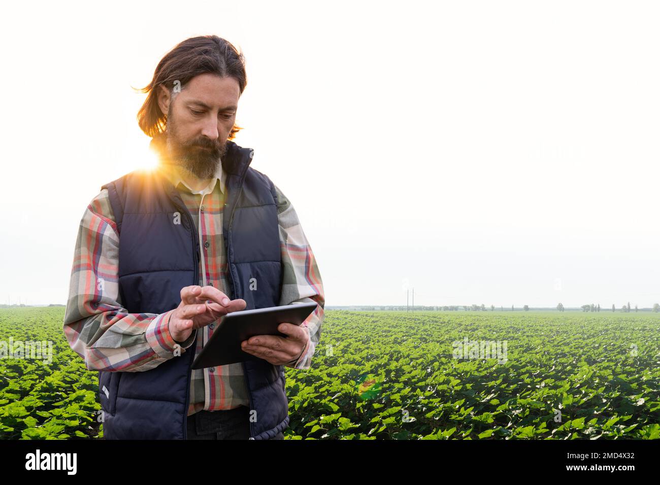 Agriculteur avec une tablette numérique sur un terrain. Agriculture intelligente et agriculture numérique Banque D'Images