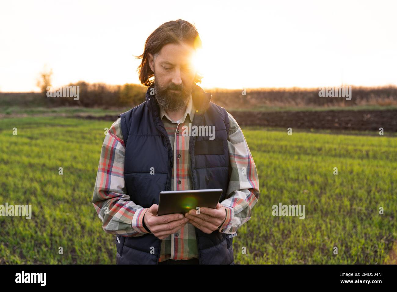 Agriculteur avec une tablette numérique sur un terrain. Agriculture intelligente et agriculture numérique Banque D'Images