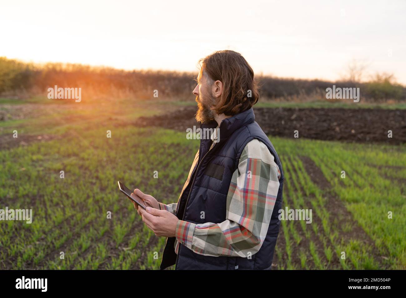 Agriculteur avec une tablette numérique sur un terrain. Agriculture intelligente et agriculture numérique Banque D'Images