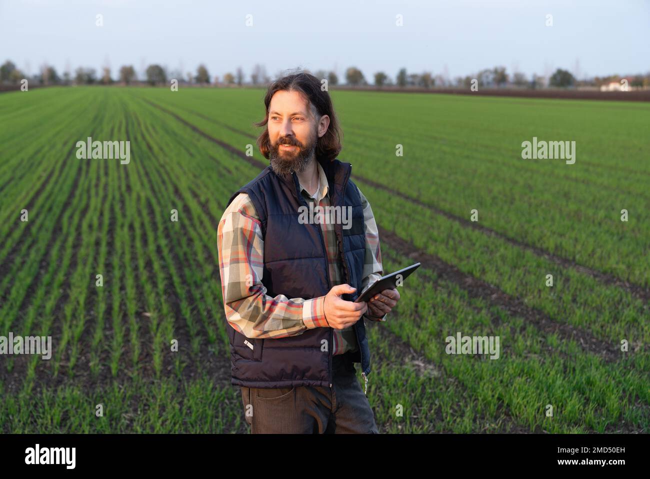 Agriculteur avec une tablette numérique sur un terrain. Agriculture intelligente et agriculture numérique Banque D'Images