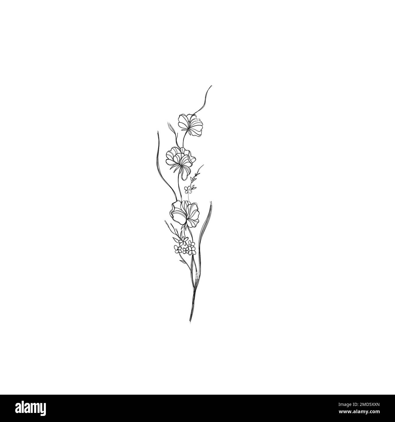 Illustration d'un dessin au trait d'une fleur sauvage. tatouage botanique Banque D'Images